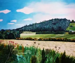 Buy Original Art  Southleigh Woods/ Woods / Trees Landscape -Original Oil Painting  • 350£