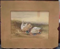 Buy Antique Fine Art Sporting Watercolor Painting James Hardy Junior Hunting Scene • 5,512.46£
