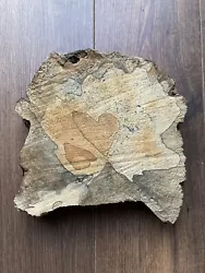Buy 100% Natural Love Heart Tree Log Slice Unique 1 Of A Kind • 199.99£