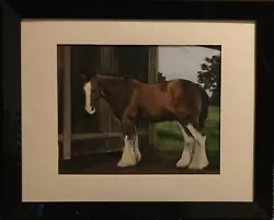 Buy Shire Horse Painting Original Framed Horse Signed In Glass • 50£