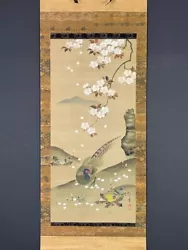 Buy Nw5900 Hanging Scroll  Pheasant And Cherry Blossoms  By Sakai Hoitsu (Late Edo) • 200.15£