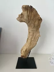 Buy Sculpture AquaOne Unique Natural Drift Wood 46cm X 11cm • 50£