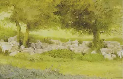 Buy  Sheep Under Oak Trees,  Book Print Of A  Painting By Gordon Beningfield • 2.15£
