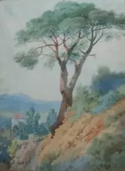 Buy WATERCOLOUR Painting ITALIAN HILLSIDE VIEW Signed ORANATO CARLANDI Dated 1891 • 29.99£