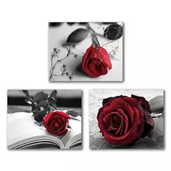 Buy Vintage Painting Black And White Red Rose Wall Art Paintings Set Of 3 (8”X10”  • 15.92£
