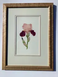 Buy Beautifully Painted Iris Watercolor Initialed J R Dated 1988 Great Frame • 189.03£