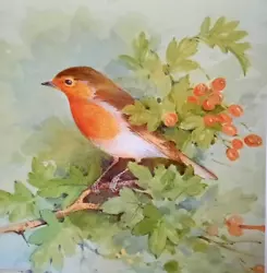 Buy * Robin Perched In Hawthorn Tree * Vintage Print Of A  Painting By Beningfield • 2.29£