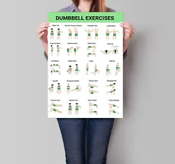 Buy Dumbell Bodyweight Barbell Gym Workout Exercise Posters A1 A2 A4 Fully Laminated • 2.99£