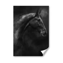 Buy A5 - BW - Stallion Horse Painting Art Print 14.8x21cm 280gsm #36614 • 3.99£