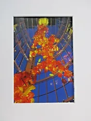Buy Chihuly Art Glass - Glasshouse Sculpture 2012 Card Print White Mat #513 • 12.24£