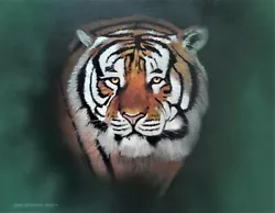 Buy Tiger. Original Oil On Canvas Framed • 95£
