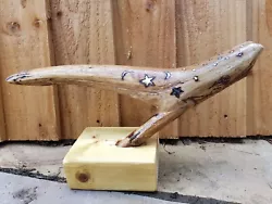 Buy Driftwood Whale Original Large Drift Wood Art Sperm Whale Pyrography  • 45£