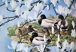 Buy .mallards Under Magnolia Tree. Vintage Print Of A Painting By Tunnicliffe • 2.39£