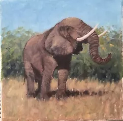 Buy Elephant, Oil Painting, Canvas, Sky, Grass, Colourful, David Baxter, Un-framed • 36£