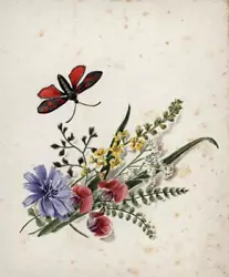 Buy Floral - Still Life Flowers & Butterfly Study Watercolour Painting 19th Century • 40£