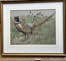 Buy Ralston Gudgeon, Scottish 1910-1984, Large Signed  Watercolour - Cock  Pheasant • 385£