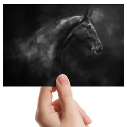 Buy Photograph 6x4  BW - Stallion Horse Painting Art  #36614 • 3.99£