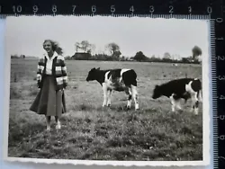 Buy Original Photo Woman Girls Fashion Cows Cattle 60s • 2.32£