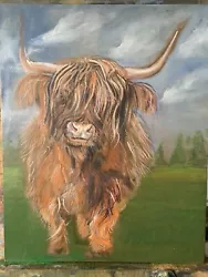 Buy Cow   Portrait Highland  Cattle Bull Farm • 360£