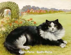Buy Cat Resting In The Garden 8.5x11  Photo Print Louis Wain Whimsical Painting Art • 7.91£