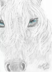 Buy Horse With Blue Eyes Pencil Sketch By Sharon Louise Brooks • 6.99£