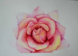 Buy Original Watercolour Painting Flowers. Rose. Malgorzata Lis. COA • 9.99£