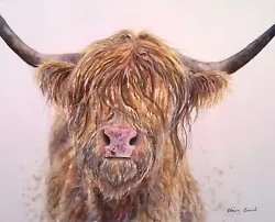 Buy ORIGINAL Signed Watercolour Painting COW Animal Wildlife Farm Art Clare Crush • 90£