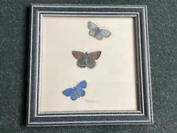 Buy Watercolour Painting, Signed J. Gallagher, Butterflies / Moths • 9.99£