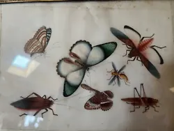 Buy Antique Chinese Painting On Silk Butterflies, Grasshoppers Circa Early 1900’s • 85£