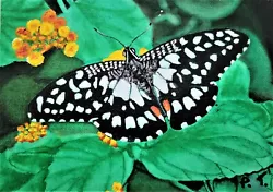 Buy Painting Black Butterfly Original Small Art Oil Realism Paul Tremlin 5 X7  X1/8 • 81.03£