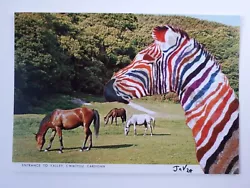 Buy Original Collage Postcard Art By Joyce And Vicky 'Zebra Dreams' • 5£