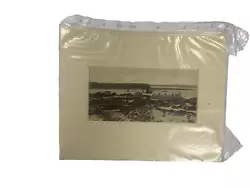Buy Beach Picture In Black And White (Preserved) - D8 P164 • 5.95£
