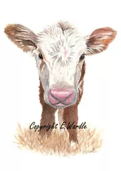 Buy ACEO 2.5 X 3.5  'Cow Calf' CANVAS PRINT Of Original Watercolour By E.Wardle • 2.99£