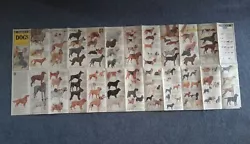 Buy Vintage Dog Poster Folding 1979 With Clear Pouch Many Breeds • 18£