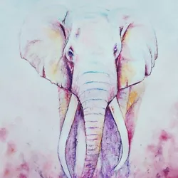 Buy Elephant, Original Watercolour Animal Painting A4 Size Unframed Colourful • 439£