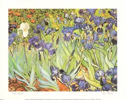 Buy 10 X 8 Van Gogh Les Irises Painting Art Print Poster Wall Picture Photo • 2.98£