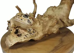 Buy Rick Cain Original Fine Art Spider Driftwood Spotted Frog Sculpture Toad's Dream • 567£