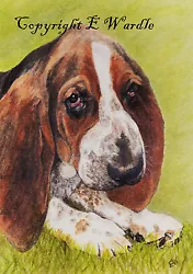 Buy ACEO 2.5  X 3.5  'BASSET HOUND' Dog CANVAS PRINT Of Watercolour By E. Wardle • 2.99£