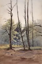 Buy Trees In Forest - Small Antique Watercolour Painting - 19th Century • 30£