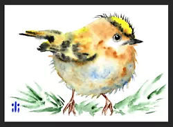 Buy ACEO Watercolor Print Cute Gold-crest Bird Fine Art Painting By Ili • 3.50£