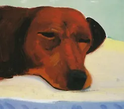 Buy Sleeping Dachshund Head Dog Painting David Hockney Print In 11 X 14 Mount SUPERB • 19.95£