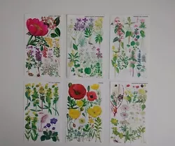 Buy Vintage Botanical Flower Prints Bookplate Illustration Wall Art Picture Set Of 6 • 10£