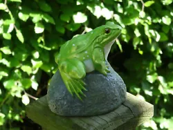 Buy Small Frog Toad On A Stone Rock Concrete Garden Ornament Hand Made & Painted • 12.95£