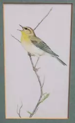 Buy Modern Art - Study Of A Warbler By F Bakewell • 9.95£