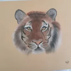Buy Original Art Painting Of A Tiger, Gift Lovely Picture. • 6.99£