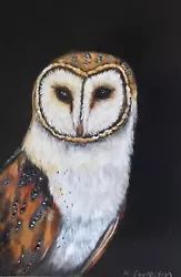 Buy Original Oil Painting. Barn Owl Bird Wildlife Signed K Eggleston • 24.99£