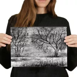 Buy A4 BW - Pretty Tree Painting Art Poster 29.7X21cm280gsm #38276 • 3.99£