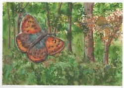 Buy Butterfly/woodland. Original Watercolour Painting. A4.300 Gsm. Unframed. Unique • 12£