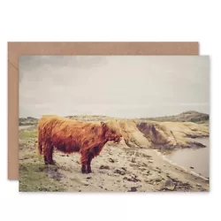 Buy Birthday Scottish Photo Painting Highland Cow Blank Greeting Card With Envelope • 4.42£