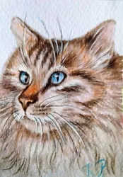 Buy ACEO Cat Drawing Watercolor Pencil By The Author Original Not Print 3,5х2,5  • 10.50£